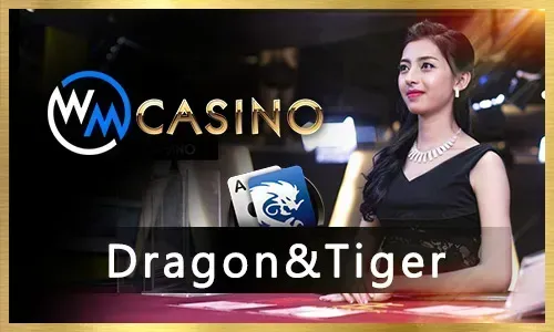 Jili online casino platform interface